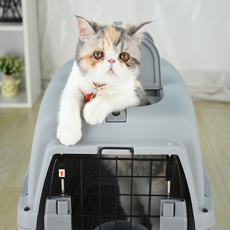Caisse de transport luxe pour chat
